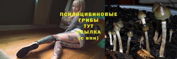 герыч Абаза